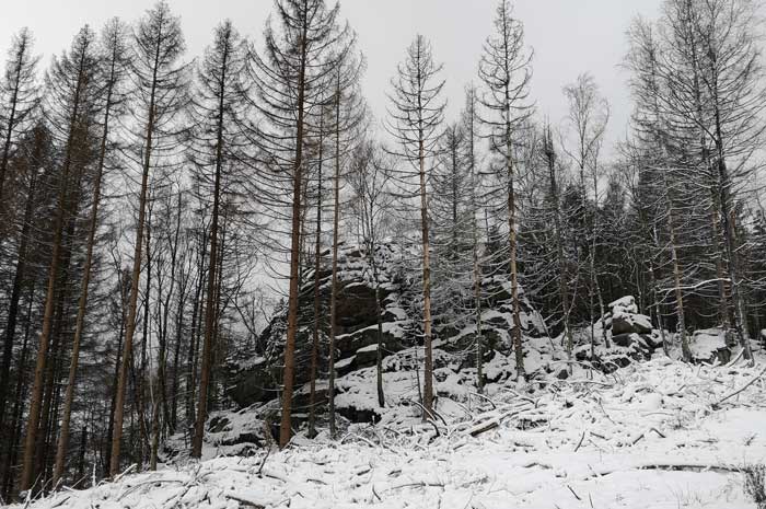 Eiskalter Brocken - Wanderung zum Blocksberg