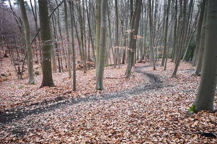 Caminata en el Parque Natural de Hohenstein en Witten