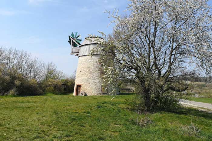 Eckartsberga - a Dutch windmill as a contemporary witness