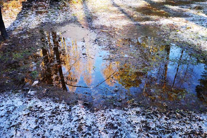 El refleja en la naturaleza &#8211; superficie del agua