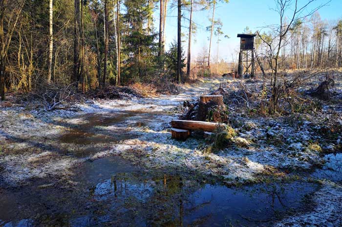 Spiegelungen in der Natur - Wasseroberfläche