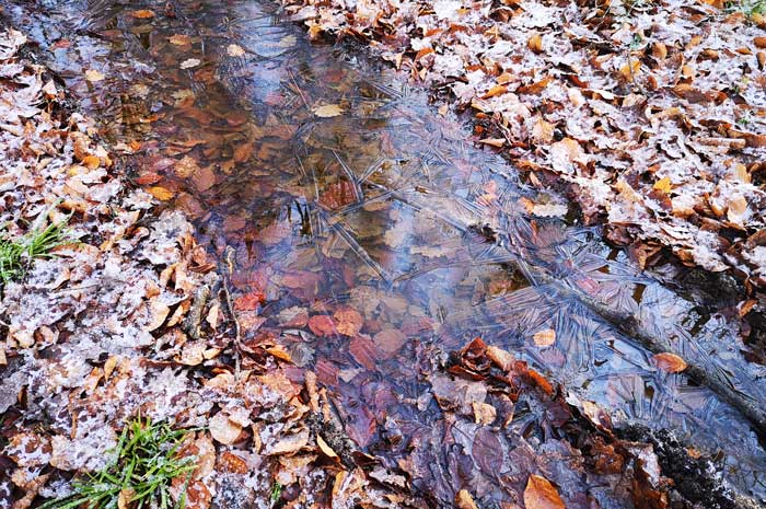 El refleja en la naturaleza &#8211; superficie del agua