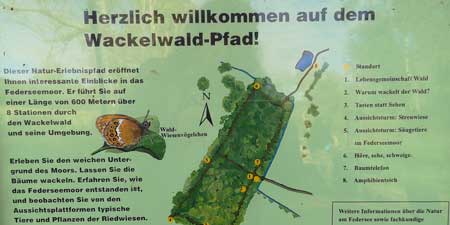 Rundgang durch den Wackelwald bei Bad Buchau