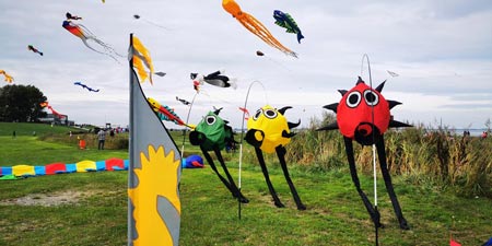 Dangast Kite Festival: Kites over the Beach