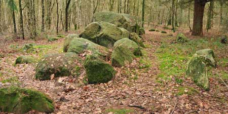 Die Straße der Megalith Kultur - Hohe Steine bei Visbek