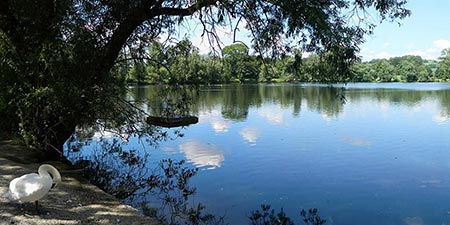 Sunday walk to the Abtsküche reservoir