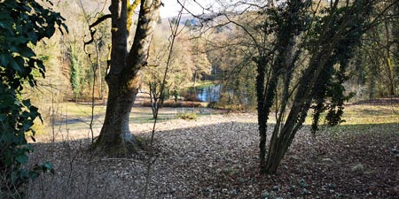 Steinburg – Castle in Need of Renovation in Beautiful Landscape