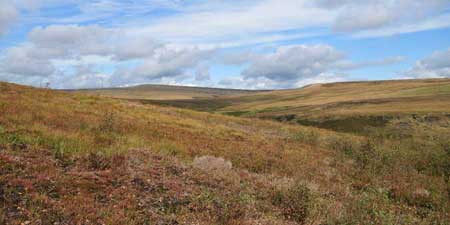 Longdendale Trail – Wanderung hinauf auf das Hochmoor