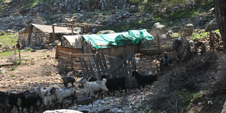 Yörük – nomadic shepherds in the Taurus Mountains