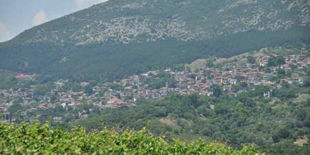 Rapsani: wine-growing region on the slopes of Mount Olympus