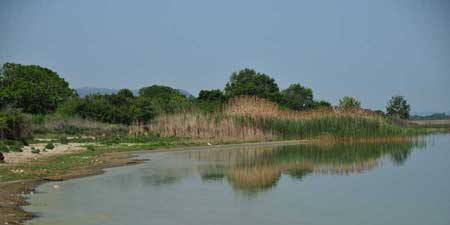 For interested birdwatcher - Short stopover at Lake Volvi