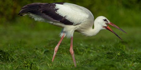 Südwind und gute Sicht erleichtern die Reise!