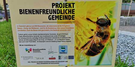 Thalheim – Projekt Bienenfreundliche Gemeinde