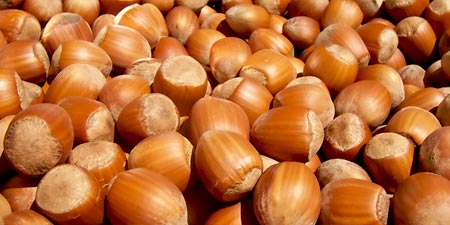 Turkey is the largest hazelnut exporter in the world