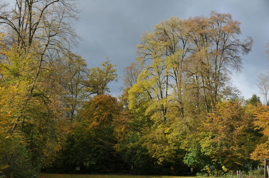 herbst 02