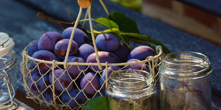 The Mühlhausen plum jam – often buck goods in its day