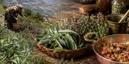 Wie wilder Salbei und Bergthymian in jeder türkischen Küche gelandet sind