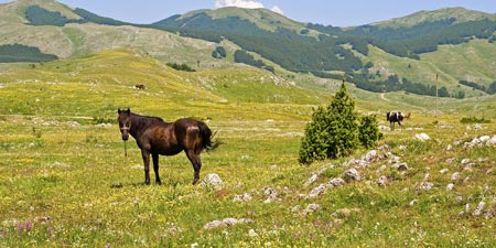 Adventurous camping trips or a slower pace of life just around the corner