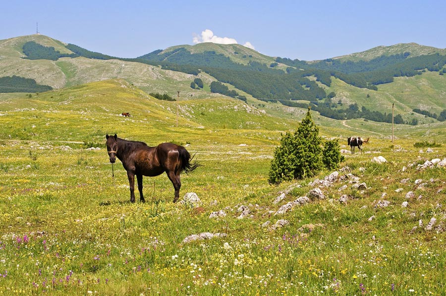 Adventurous camping trips or a slower pace of life just around the corner