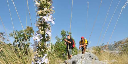 Hiking with Alaturka - from 2.06. - 07.06.2015 next to Omis