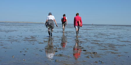 Wadden area hike to bird protection island on Minsener Oldeoog