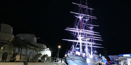 Die Dar Pomorza - dreimastiges Segelschulschiff in Gdingen