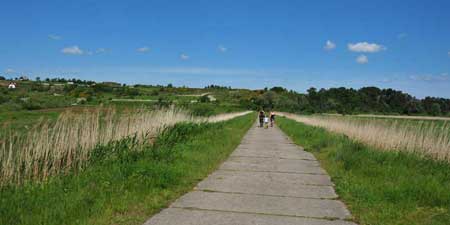 Gdansk - recreational and nature reserves line the bike paths