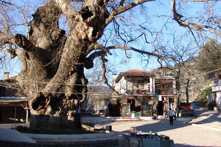 Bayırköy - Marmaris