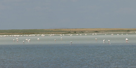 Seyfe Lake near Kırşehir in Central Anatolia