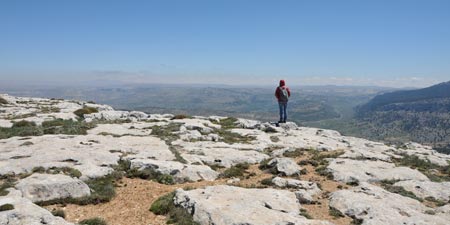 Mut – Take Off 2011, Dagpazari und Mavga Burg