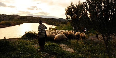 Mut – weitere Schätze warten im Verborgenen!