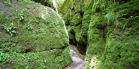 Hike through the Drachenschlucht near Eisenach