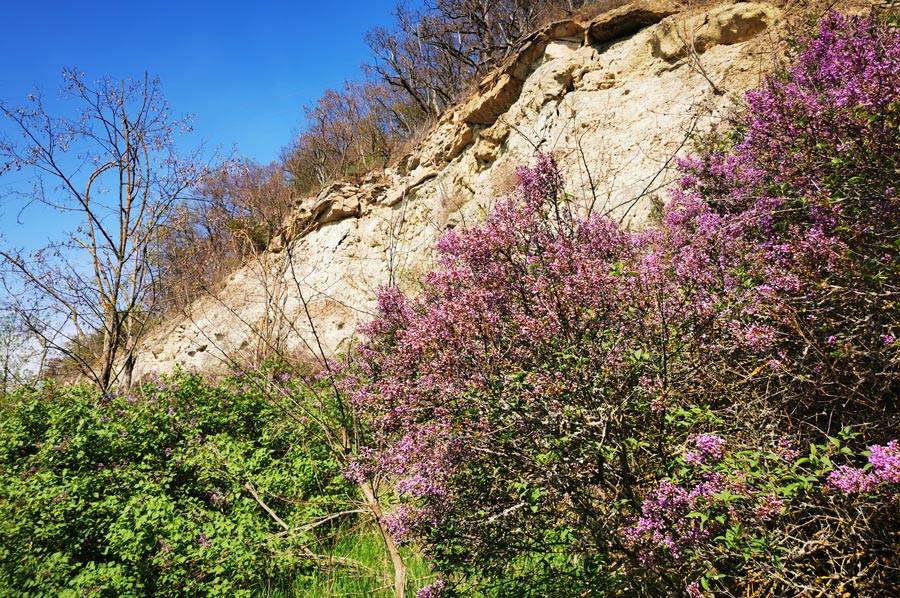 wanderung goseck 04