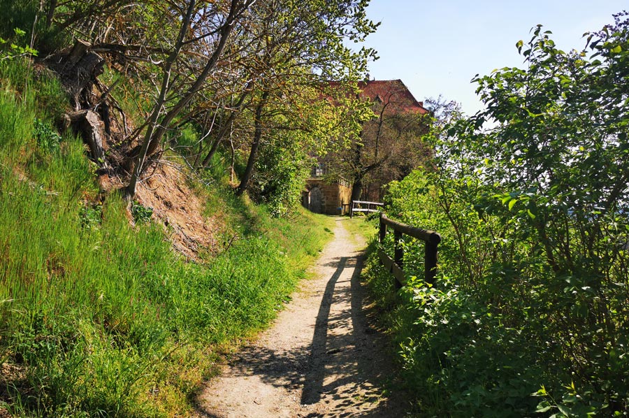 wanderung goseck 05