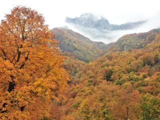 Valbona Valley in its autumn colours