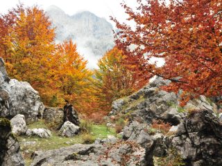 Valbona Valley in its autumn colours