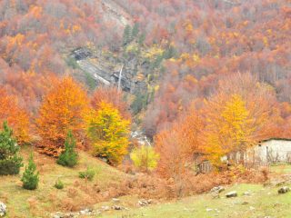 Valbona Valley in its autumn colours