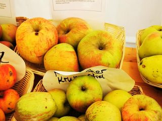 Description and sorts of apple in Kaarz