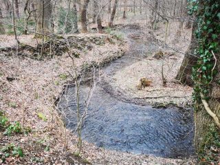 Wanderung zum Berger Turm bei Witten