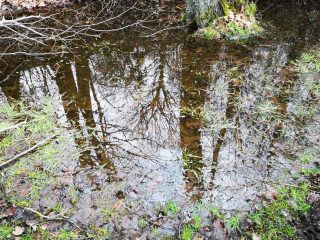 Wanderung zum Berger Turm bei Witten