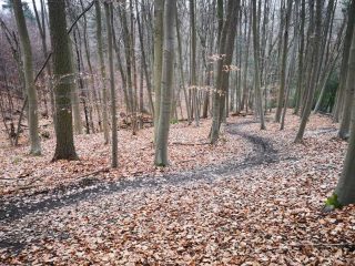 Wanderung zum Berger Turm bei Witten