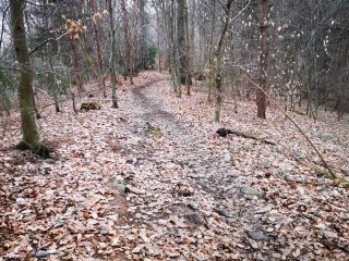 Wanderung zum Berger Turm bei Witten