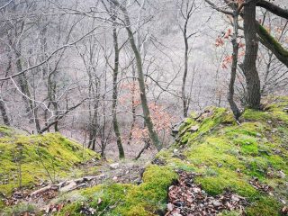 Wanderung zum Berger Turm bei Witten