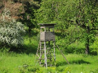 Hängeseilbrücke für Wanderer in Braunsroda