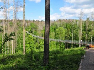 Hängeseilbrücke für Wanderer in Braunsroda