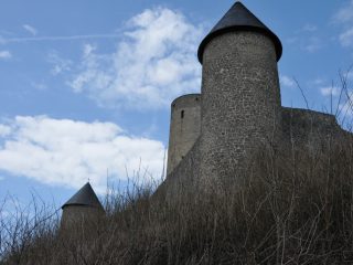 DSC 1773