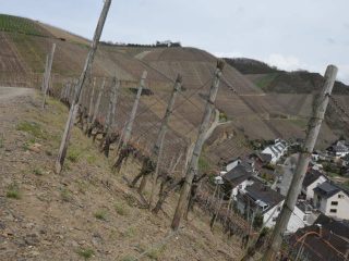 Dernau / Ahr Rotweinwanderweg