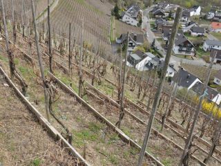 Dernau / Ahr Rotweinwanderweg