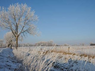 Raureif in Friesland