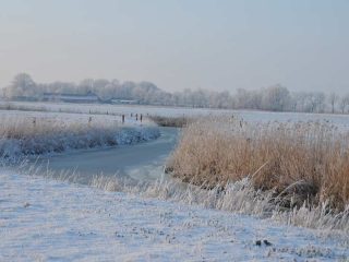 Raureif in Friesland